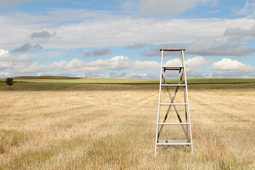 关于礼物的句子84句