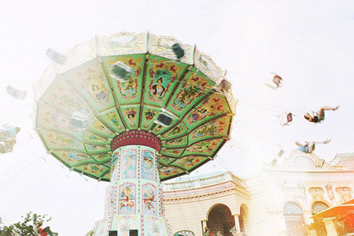 形容山茶花的句子37句