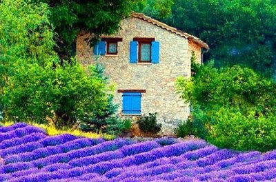 ​于青春励志的句子心情短语