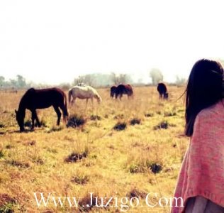 ​早安心语正能量一句话51句