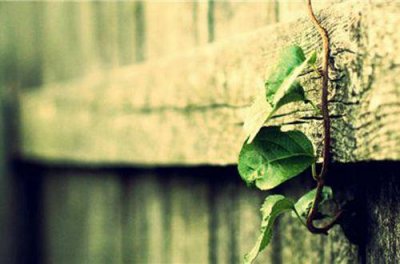 ​岁月的优美句子