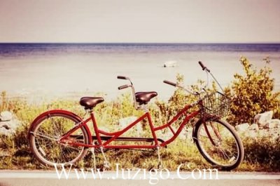 ​歌颂老师的优美句子81句