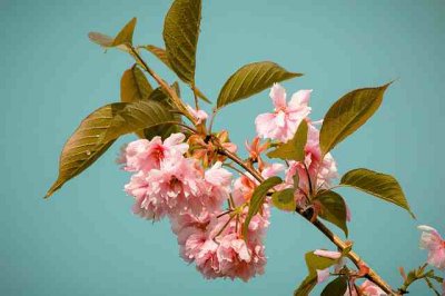 ​小学生好词好句