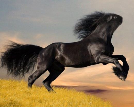 一句话暗示我想你