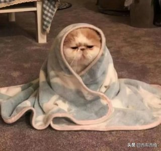 ​超可爱的签名说说(有个性俏皮简短干净气质)