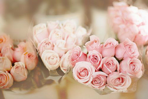 英语短谚语100句