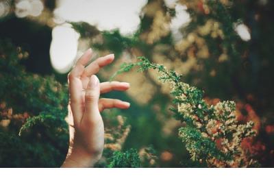 描写花的句子唯美短句