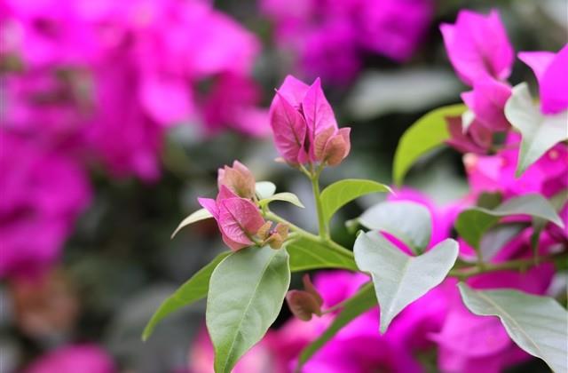 用一什么就什么造句 用一什么就什么造句