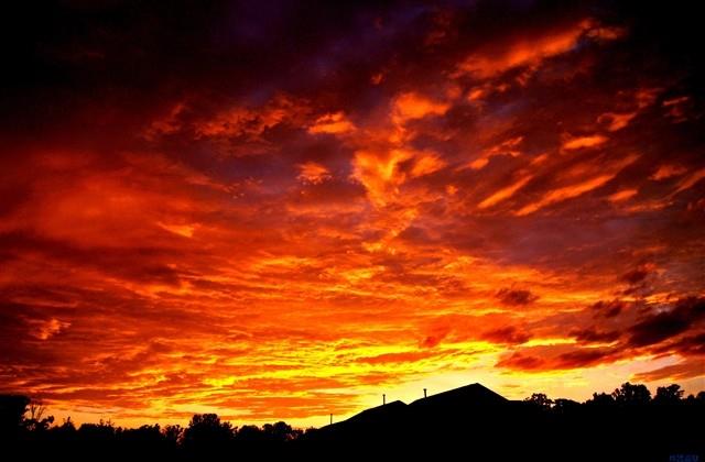 用一什么就什么造句 用一什么就什么造句