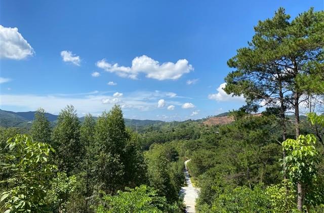 见到彩虹预示好运句子说说