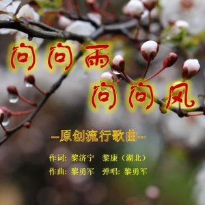 ​我问问风我问问雨是什么歌谁唱（歌词我问问风我问问雨是什么歌）