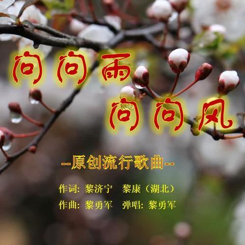 我问问风我问问雨是什么歌谁唱(歌词我问问风我问问雨是什么歌)