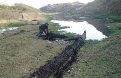 ​乌木是什么木头(乌木是怎么形成的)