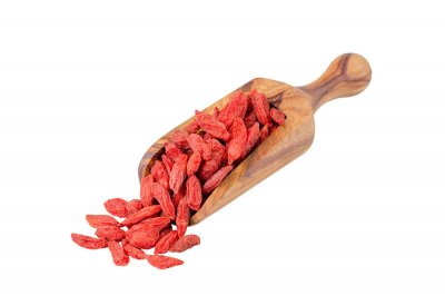 ​枸杞种子怎么种