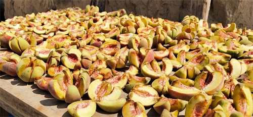 家里桃子太多吃不完怎么办？跟着农村大妈学晒桃干