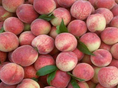 家里桃子太多吃不完怎么办？跟着农村大妈学晒桃干