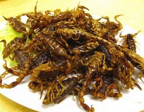 常人眼中“五毒”之首，吃货眼里的美味