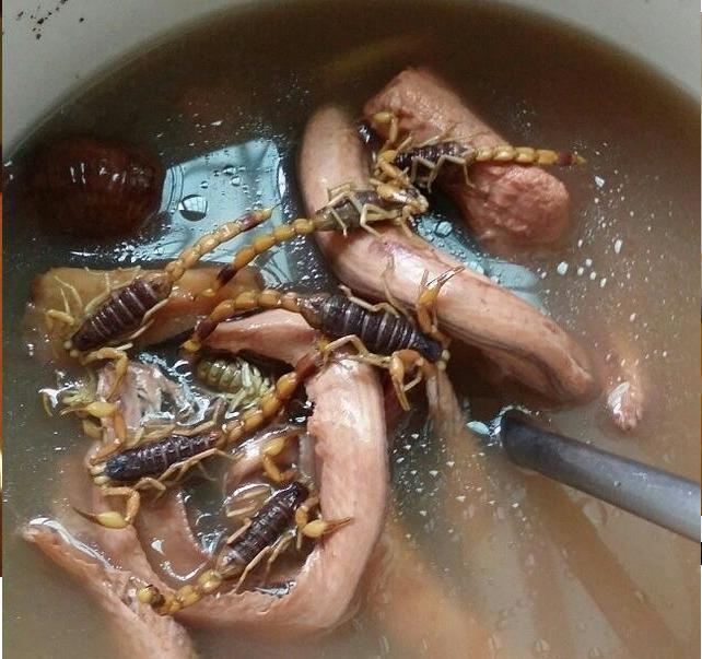 常人眼中“五毒”之首，吃货眼里的美味