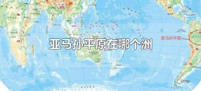 ​亚马孙平原在哪个洲（亚马孙平原是哪个大洲的）