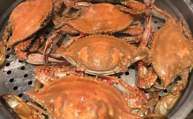 让螃蟹蒸多长时间合适