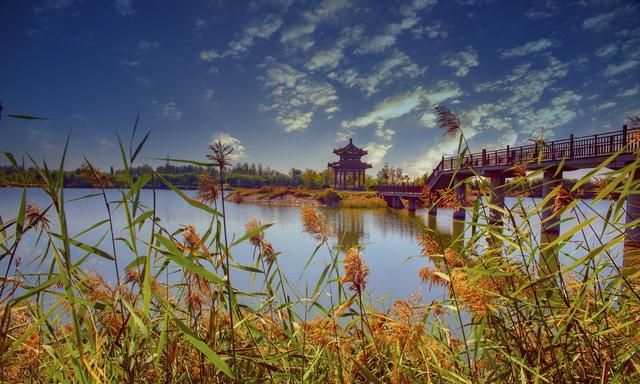 德州美食,德州做什么生意好?图1