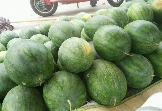 德州美食,德州做什么生意好?图6