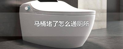 ​抽水马桶堵塞如何疏通 虹吸马桶堵了怎么通