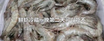 ​新鲜虾第二天吃需要冷冻吗 鲜虾第二天吃放冷藏还是冷冻
