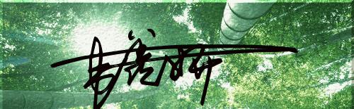 艺术签名6，明星行云如流水般的签名，你照样可以拥有！