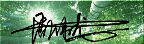 艺术签名6，明星行云如流水般的签名，你照样可以拥有！