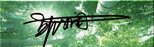 艺术签名6，明星行云如流水般的签名，你照样可以拥有！