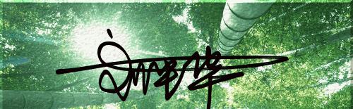 艺术签名6，明星行云如流水般的签名，你照样可以拥有！