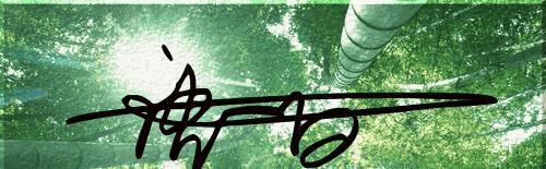 艺术签名6，明星行云如流水般的签名，你照样可以拥有！