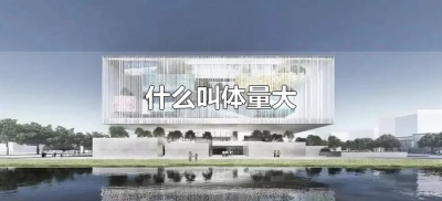 ​什么叫体量大（体量大是什么意思？）