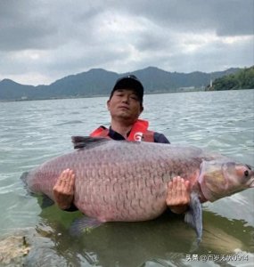 ​粉丝排名前十的钓鱼榜，你喜欢的博主上榜了吗？