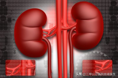 ​如何保养肾的正确方法（医生解读 日常生活如何保养我们的肾脏 方法很重要