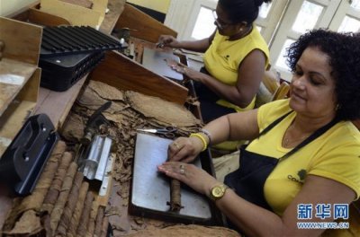 ​古巴高希霸雪茄