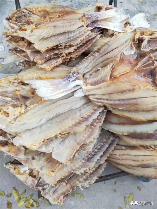 海南儋州海头红鱼干
红鱼的学名为红鳍笛鲷,又名红鱼。