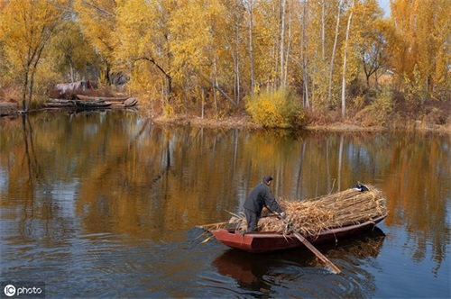 河北白洋淀:北国的江南,北地的西湖