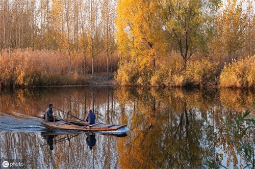 河北白洋淀:北国的江南,北地的西湖