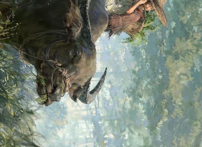 ​美白小偏方（开塞露美白小偏方）