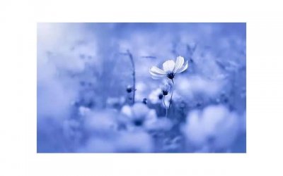 ​女性胸下垂是什么原因造成的