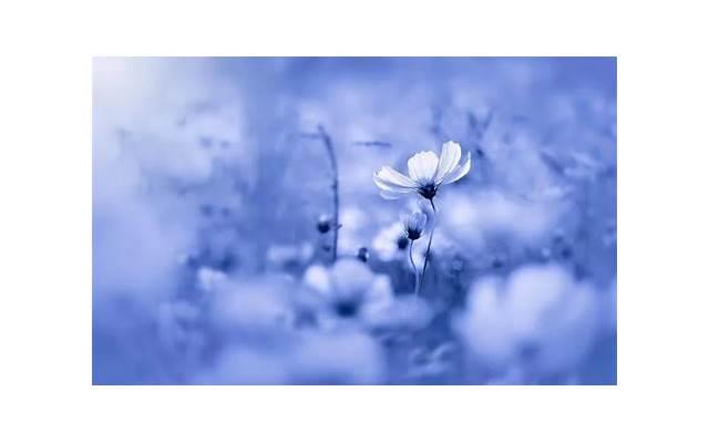 女性胸下垂是什么原因造成的 女性胸下垂是什么原因造成的