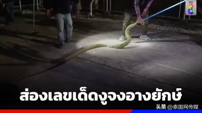 ​泰国近5米长眼镜蛇藏于水管 吓坏村民！