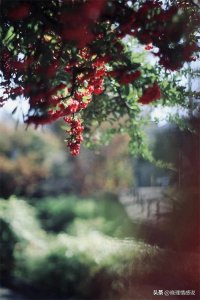 ​男人的软肋：内心脆弱、害怕失去，你了解吗？