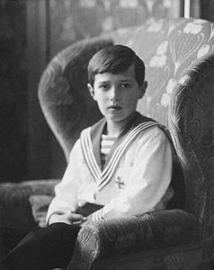 ​时代牺牲品：末代王子阿列克谢的血泪史与俄国风云变幻