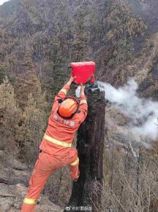 ​四川雅江森林火灾明火已全部扑灭