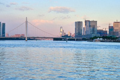 ​南方素有“鱼米之乡”之称的海滨城市——湛江鱼港公园