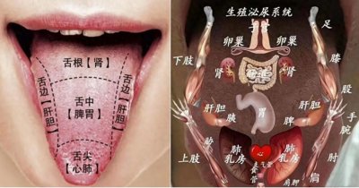 ​脾胃好不好？看看舌头中间就知道！脾气虚、脾阳虚，一看一个准