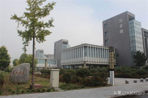 《大树校园行》之河南财政金融学院(象湖校区)